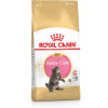 Royal Canin Maine Coon Kittenvoer (2KG)